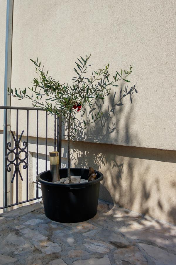 Apartmani Petar Тиват Экстерьер фото